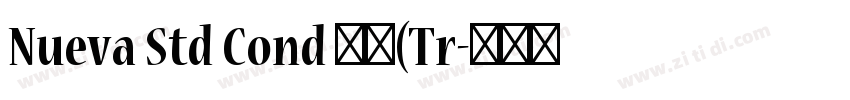 Nueva Std Cond 粗体(Tr字体转换